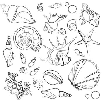 Seashells vector outline drawing set. Various mollusk sea shells different forms, echinus, sea urchin, starfish, seaweed.Hand drawn illustration on white background.Collection of abstract sketches