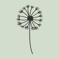 simple hand drawn dandelion flower. used for decoration, element, greeting card, banner, etc. graphics vector. vector