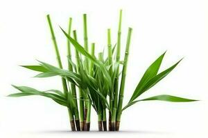 Green bamboo plant. Generate Ai photo