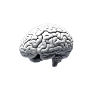 cerebro humano idea ai generativo png