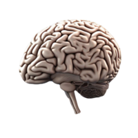 cerebro humano idea ai generativo png