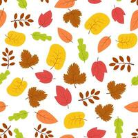 Seamless pattern with autumn leaves. Vector illustration.