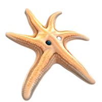 estrella de mar linda pescado ai generativo png