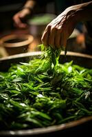 A close-up shot captures delicate tea leaves being carefully steamed symbolizing the harmony between nature and human craftsmanship photo