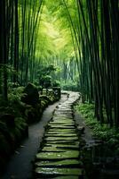 A serene bamboo forest with sunlight filtering through the leaves perfect for your peaceful meditation texts photo