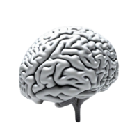 cerebro humano idea ai generativo png