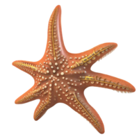 estrelas do mar fofa peixe ai generativo png