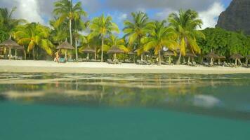 Ferien auf das Strand von tropisch Resort video