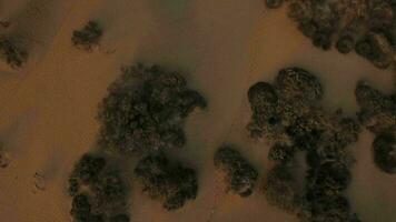 Aerial scene with sandy relief and dunes video