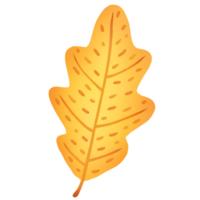 leaves change color in autumn png