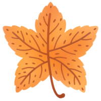 leaves change color in autumn png