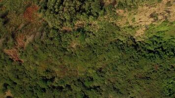 Mauritius aerial scene video