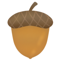 Acorns picked in the autumn png