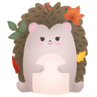 Hedgehog with leaves on it png