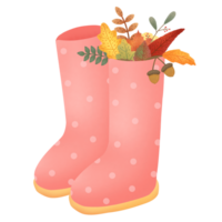 Cute pink boots for autumn png