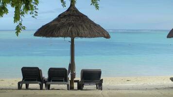 ver de vacío tumbona cerca nativo Dom paraguas en contra azul agua, Mauricio isla video