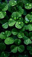 A Bunch of clover leaf background, Generative AI photo