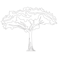 Tree Nature 2D Outline Illustrations png