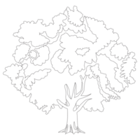 groot boom natuur 2d schets illustraties png