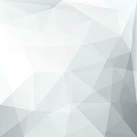 abstract white polygonal background vector