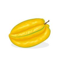 Vector illustration, carambola, also known as star fruit, isolated on white background.