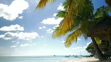 Tropical resort and empty deck-chair by ocean video