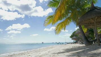 Resort tropical y mujer tomando el sol con tablet PC video