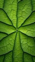A micro green leaf background photo