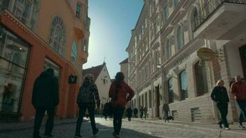 pessoas caminhando dentro histórico cidade do Tallinn video