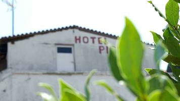 ático de hotel y verde árbol en el primer plano video