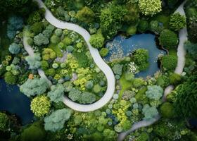 Aerial drone view from the top of a garden path photo