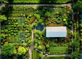 a beautiful view from above on garden photo