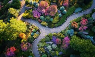 Aerial drone view from the top of a garden path photo