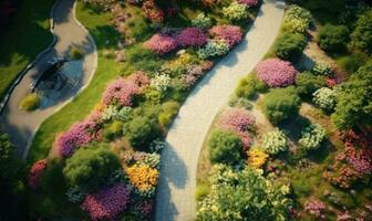 Aerial drone view from the top of a garden path photo