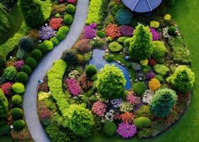 a beautiful view from above on garden photo