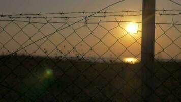 Beautiful sunset seen through barbed wire video