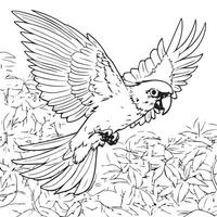 Rainbow lorikeet coloring page vector