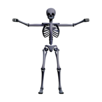 skeleton 3d rendering icon illustration png