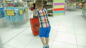 Child with shopping cart in the store video