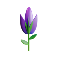 lavender 3d rendering icon illustration png