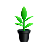 plant 3d icon illustration png