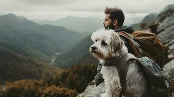 Man hiking in fluffy bearded gray dog in mountains in autumn pet adoption traveling with dog generative ai photo