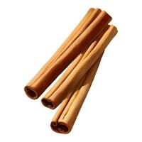 Cinnamon Sticks Isolated Detailed Hand Drawn Painting Illustration vector