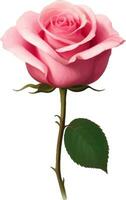 rosado Rosa con hoja detallado hermosa mano dibujado vector ilustración