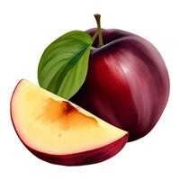 ciruela Fruta con hoja aislado mano dibujado pintura ilustración vector