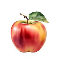 Fresco rojo manzana Fruta con hoja acuarela pintura ilustración vector