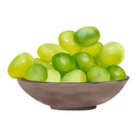 Green Grapes on Wooden Bowl Isolated Hand Drawn Painting Illustration vector