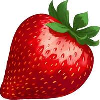 Strawberry Detailed Beautiful Hand Drawn Vector Illustration