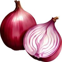 Red Onion Detailed Hand Drawn Illustration Vector Isolated