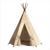 Indian Tent Teepee Isolated Detailed Hand Drawn Painting Illustration vector